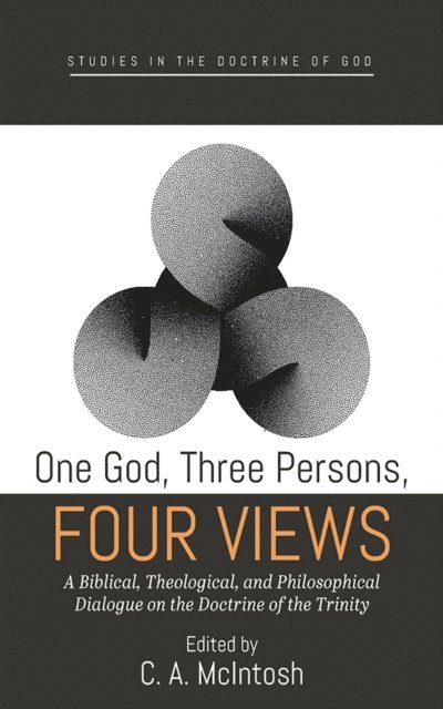 C. A. McIntosh - One God, Three Persons, Four Views, E-bok