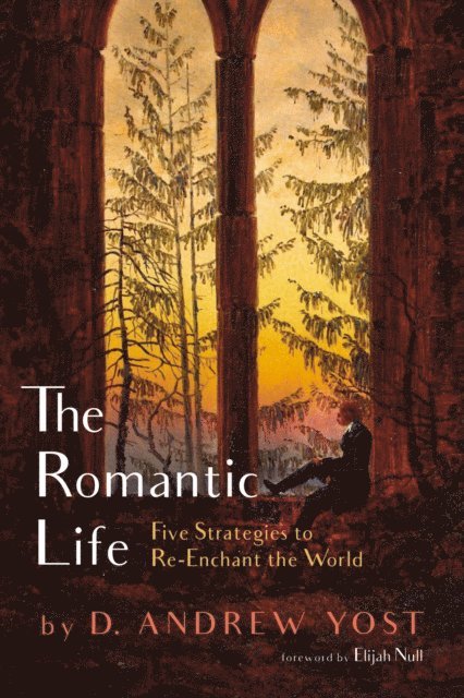 D. Andrew Yost - Romantic Life, E-bok