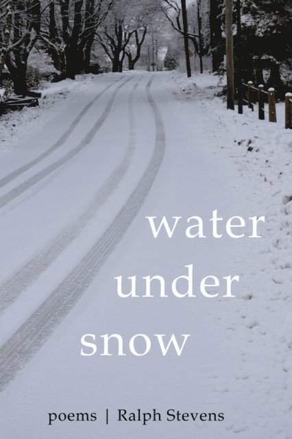 Ralph Stevens - Water under Snow, E-bok