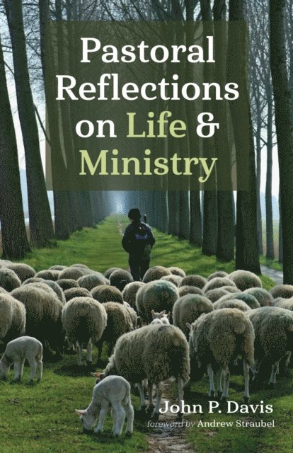 John P. Davis - Pastoral Reflections on Life and Ministry, E-bok
