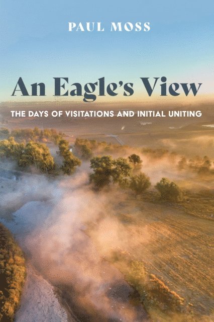 Paul Moss - Eagle's View, E-bok