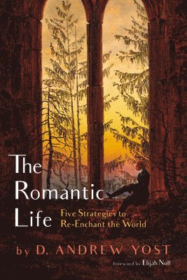 D Andrew Yost - Romantic Life, Häftad