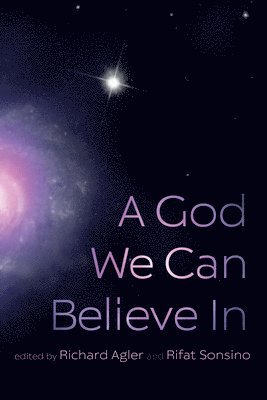 Richard Agler, Rifat Sonsino - God We Can Believe in, Häftad