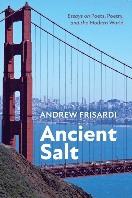 Andrew Frisardi - Ancient Salt, E-bok