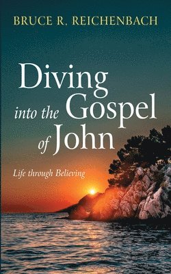 Bruce R Reichenbach - Diving Into the Gospel of John, Häftad