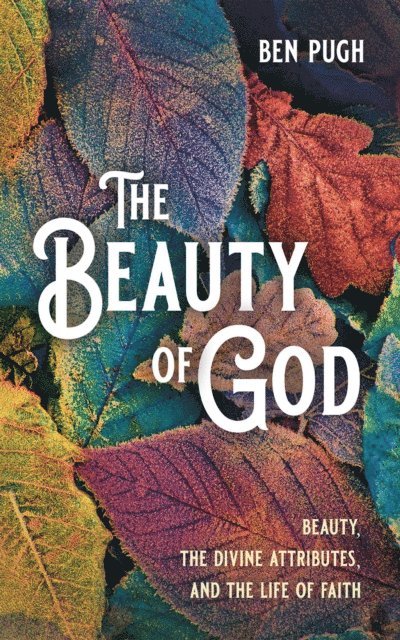 Ben Pugh - Beauty of God, E-bok