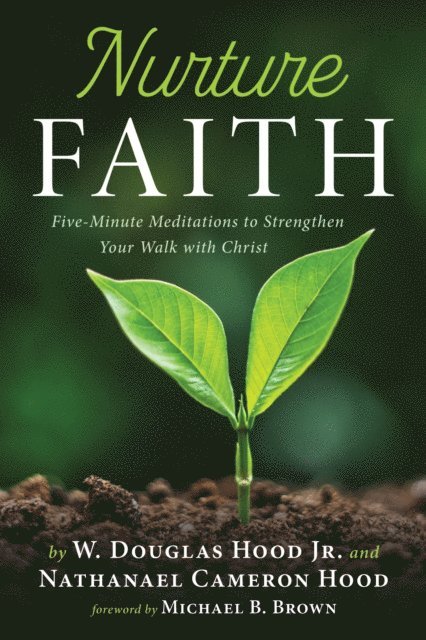 Nathanael Cameron Hood, W. Douglas Hood Jr. - Nurture Faith, E-bok