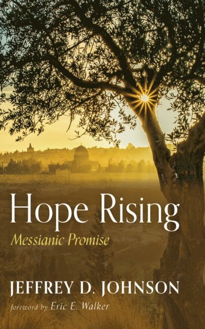 Jeffrey D. Johnson - Hope Rising, E-bok
