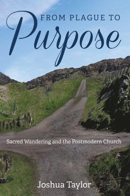 Joshua Taylor - From Plague to Purpose, E-bok