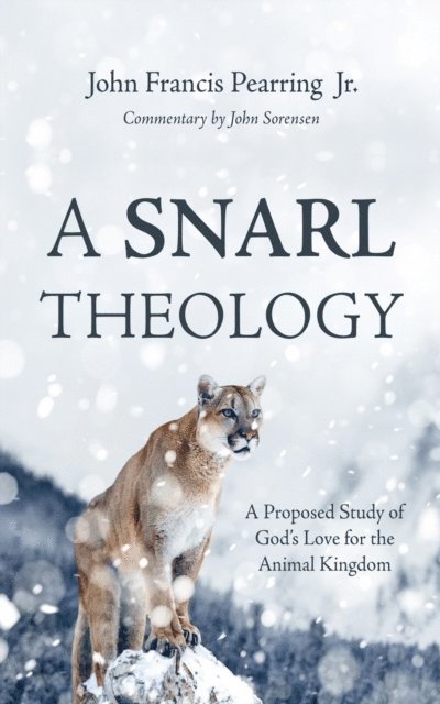John Sorensen, John Francis Pearring Jr. - Snarl Theology, E-bok