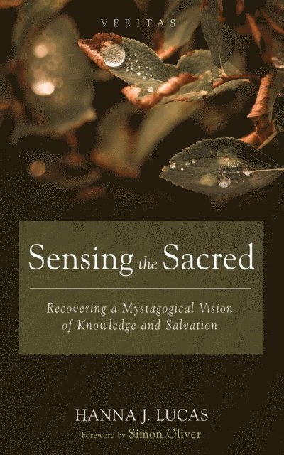Hanna J. Lucas - Sensing the Sacred, E-bok