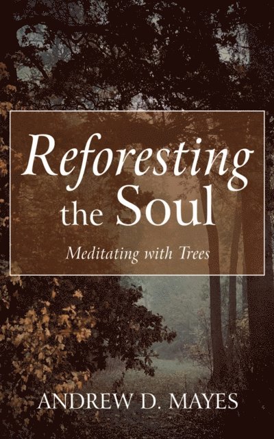 Andrew D. Mayes - Reforesting the Soul, E-bok