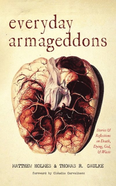 Thomas R. Gaulke, Matthew Holmes - Everyday Armageddons, E-bok