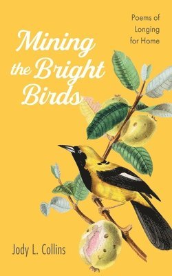 Jody L Collins - Mining the Bright Birds, Inbunden