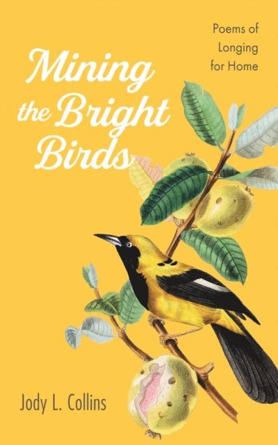 Jody L. Collins - Mining the Bright Birds, E-bok