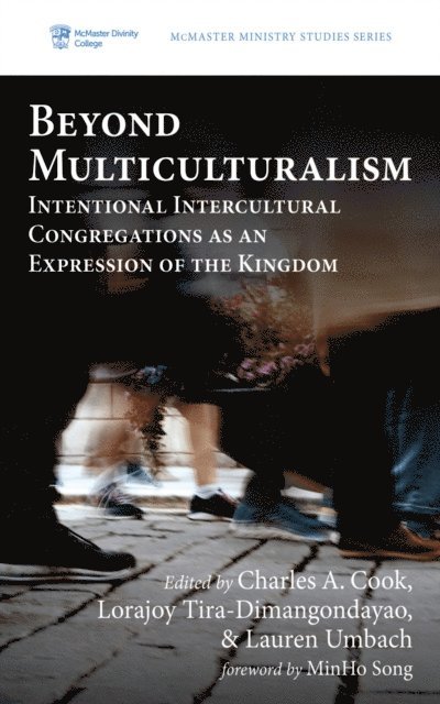 Lauren Umbach, Lorajoy Tira-Dimangondayao, Charles A. Cook - Beyond Multiculturalism, E-bok