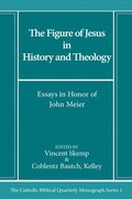 Figure of Jesus in History and Theology