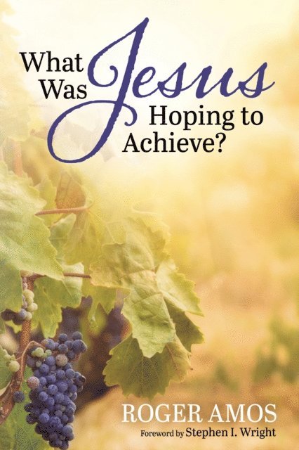 Roger Amos - What Was Jesus Hoping to Achieve?, E-bok