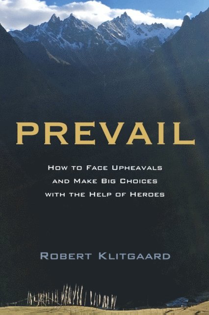 Robert Klitgaard - Prevail, E-bok