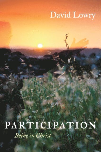 David Lowry - Participation, E-bok
