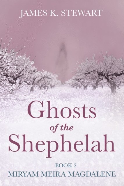James K. Stewart - Ghosts of the Shephelah, Book 2, E-bok