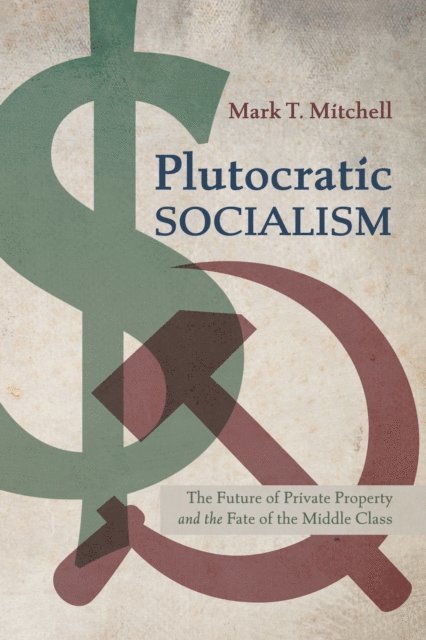 Mark T. Mitchell - Plutocratic Socialism, E-bok