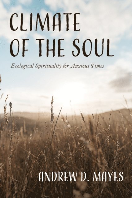Andrew D. Mayes - Climate of the Soul, E-bok