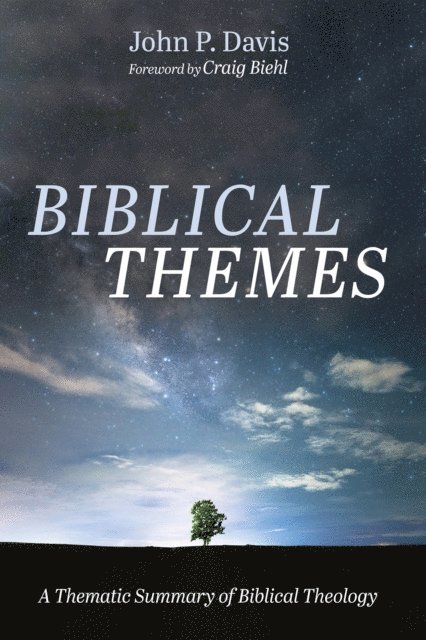 John P. Davis - Biblical Themes, E-bok