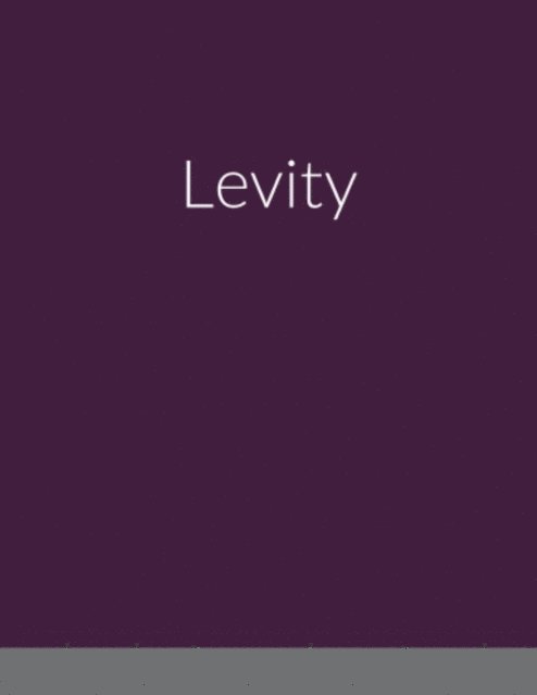 Todd Baker - Levity, E-bok