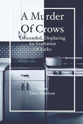 Dave Morrison - Murder of Crows Descended, Displacing an Exultation of Larks, Häftad. Tillgänglighet: Lägg i varukorg