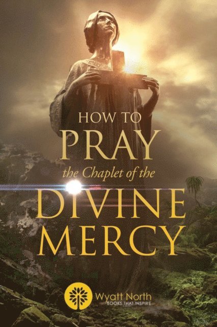 Wyatt North - How to Pray the Chaplet of the Divine Mercy, E-bok