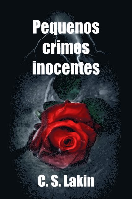 C. S. Lakin - Pequenos Crimes Inocentes, E-bok