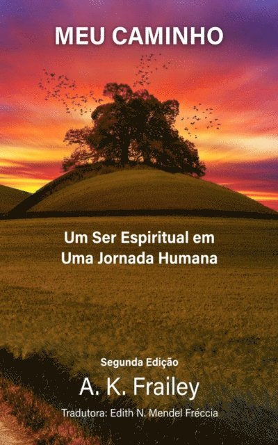 A. K. Frailey - Meu Caminho, E-bok