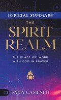 Official Summary of The Spirit Realm