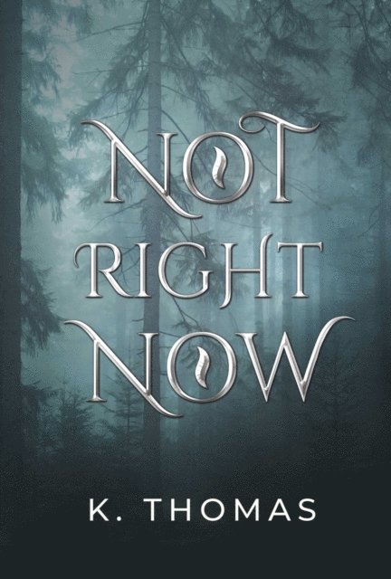 K. Thomas - Not Right Now, E-bok