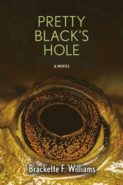 Brackette F. Williams - Pretty Black's Hole, E-bok