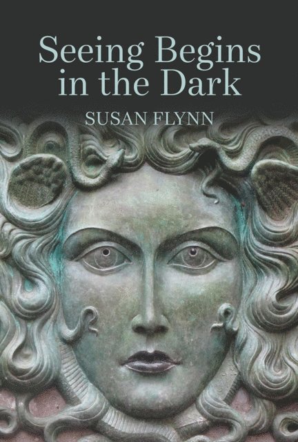 Susan Flynn - Seeing Begins in the Dark, E-bok