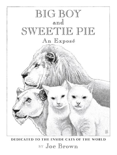 Joe Brown - BIG BOY and SWEETIE PIE, E-bok. Tillgänglighet: Lägg i varukorg