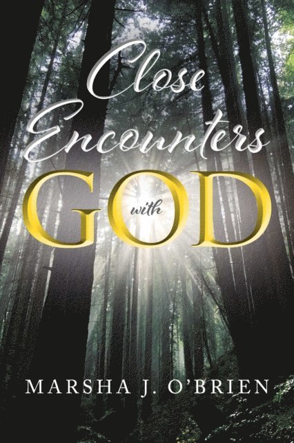 Marsha J. O'Brien - Close Encounters with God, E-bok