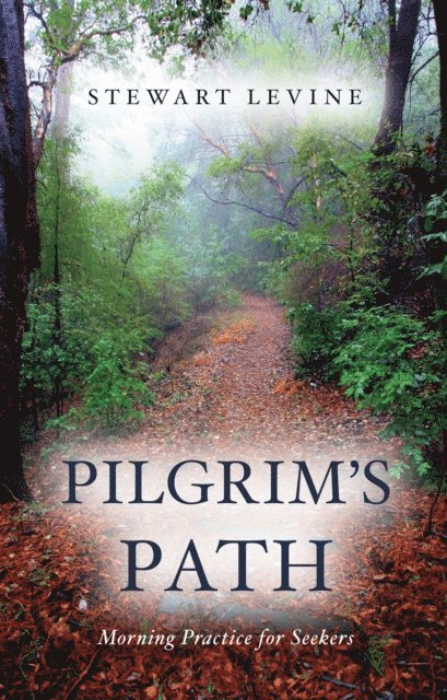 Stewart Levine - Pilgrim's Path, E-bok