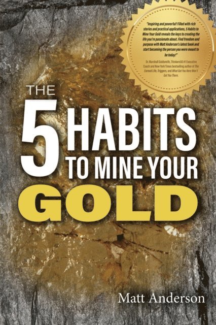 Matt Anderson - 5 Habits to Mine Your Gold, E-bok