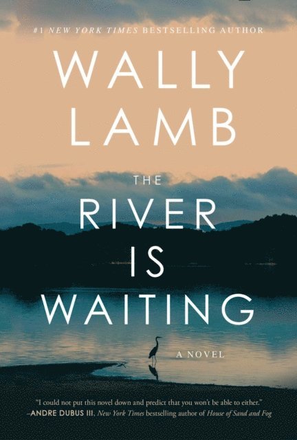 Wally Lamb - River Is Waiting (Oprah's Book Club), E-bok