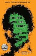 The Hive and the Honey