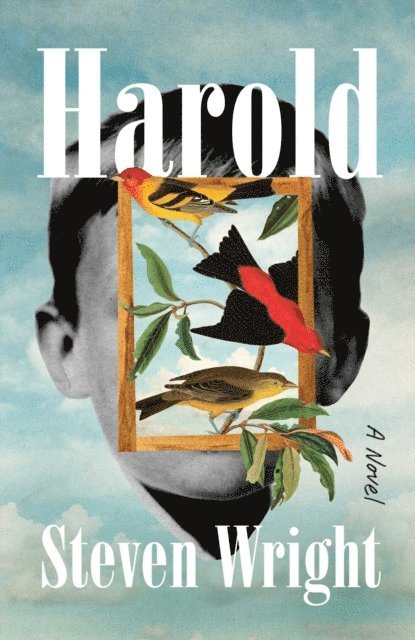 Steven Wright - Harold, E-bok