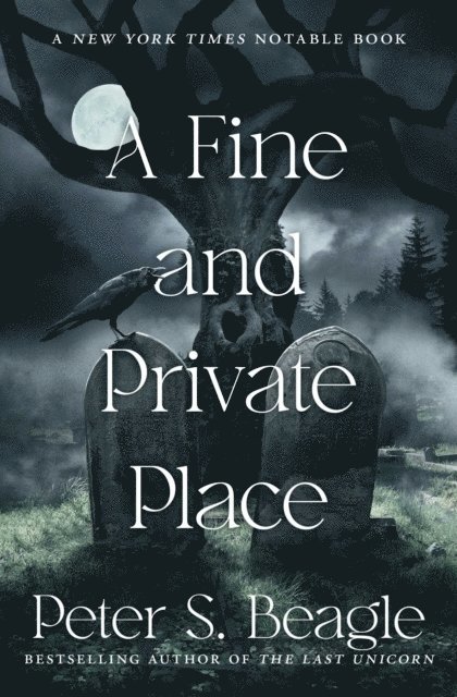 Peter S. Beagle - Fine and Private Place, E-bok