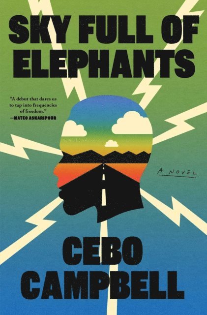 Cebo Campbell - Sky Full of Elephants, E-bok