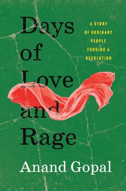 Anand Gopal - Days of Love and Rage, E-bok