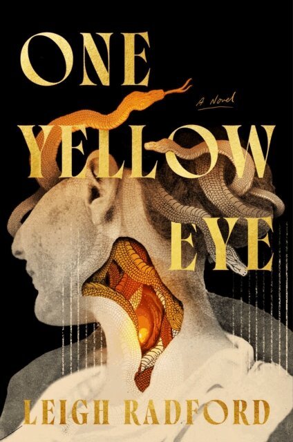 Leigh Radford - One Yellow Eye, E-bok