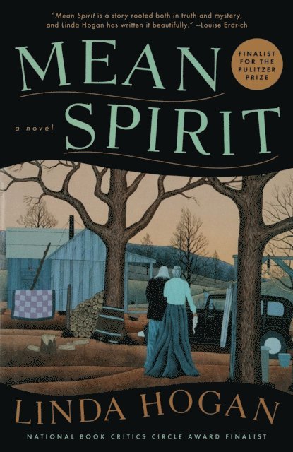 Linda Hogan - Mean Spirit, E-bok