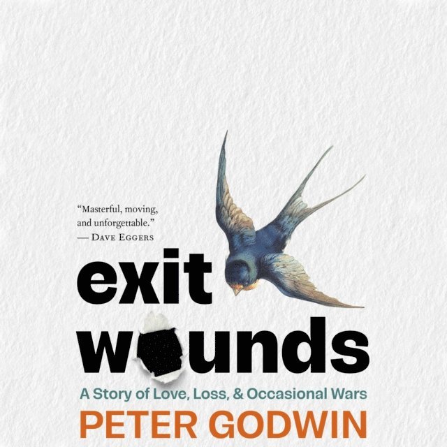 Peter Godwin - Exit Wounds, Ljudbok